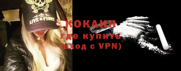 сатива Белокуриха