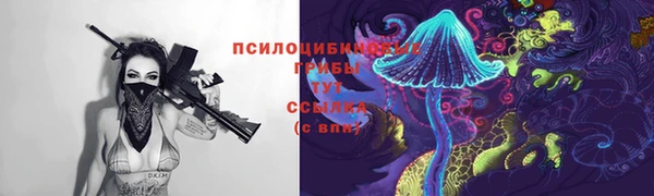 спиды Белоозёрский