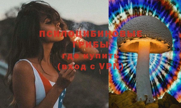 сатива Белокуриха